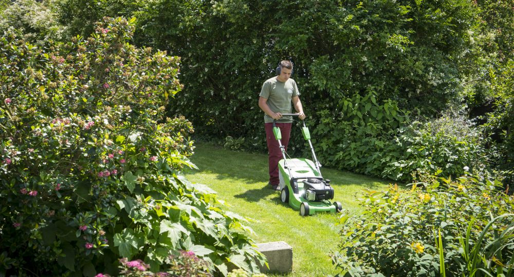 Entretien et tonte espaces verts