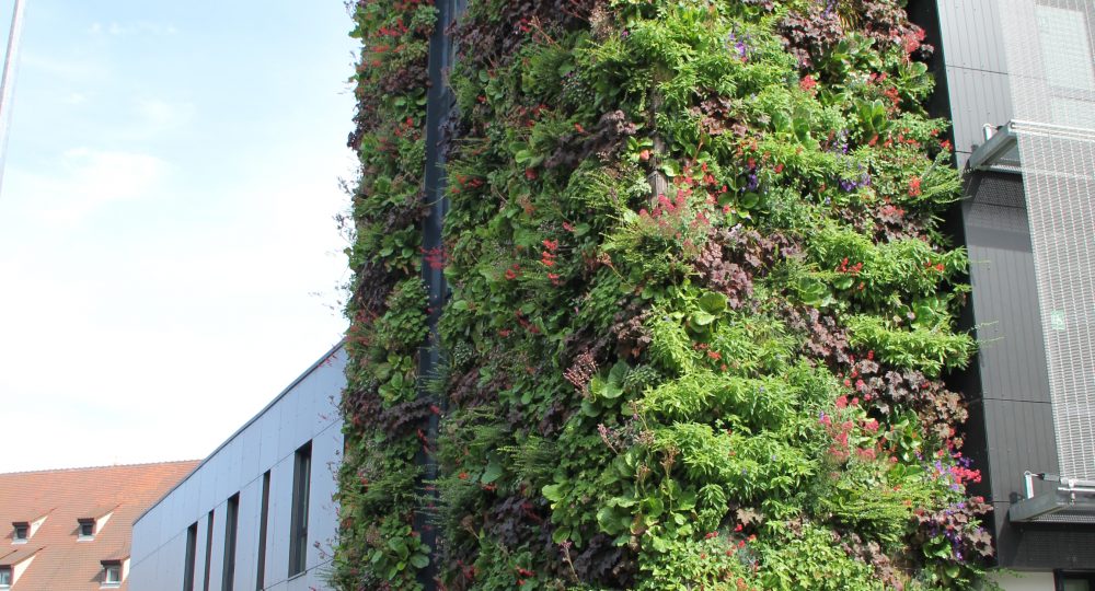 Mur végétalisé ENA Strasbourg