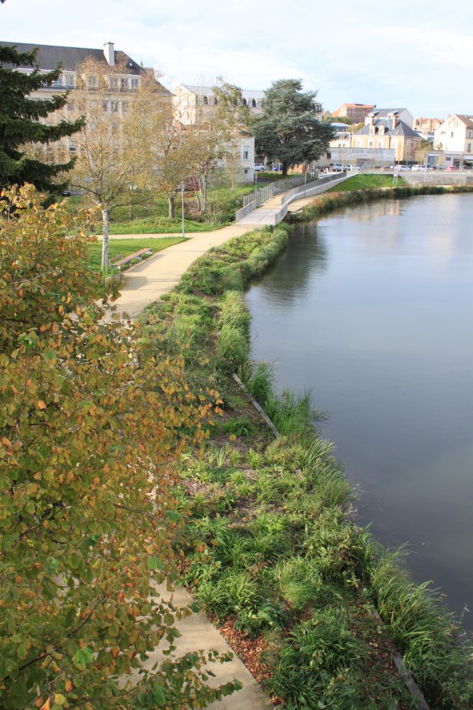 Préservation écologique bord de l'eau