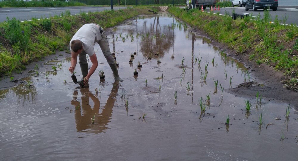 Génie Ecologique TM