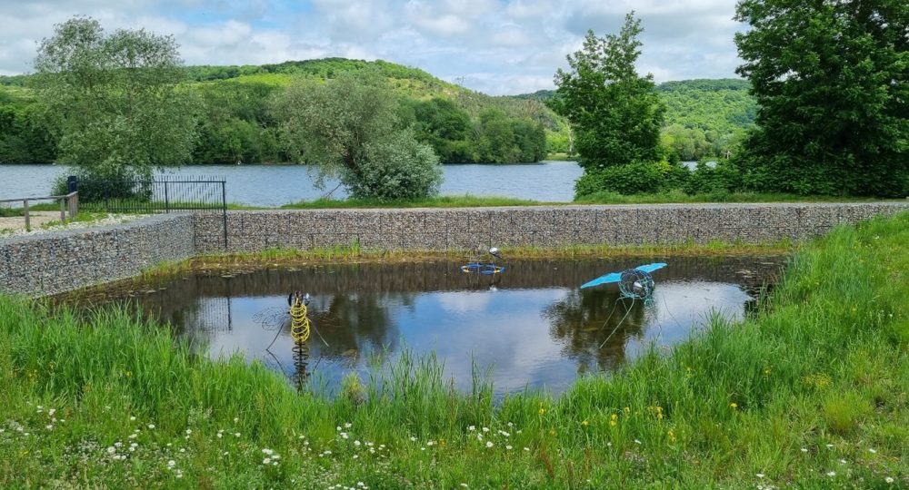 Génie écologique plan d'eau