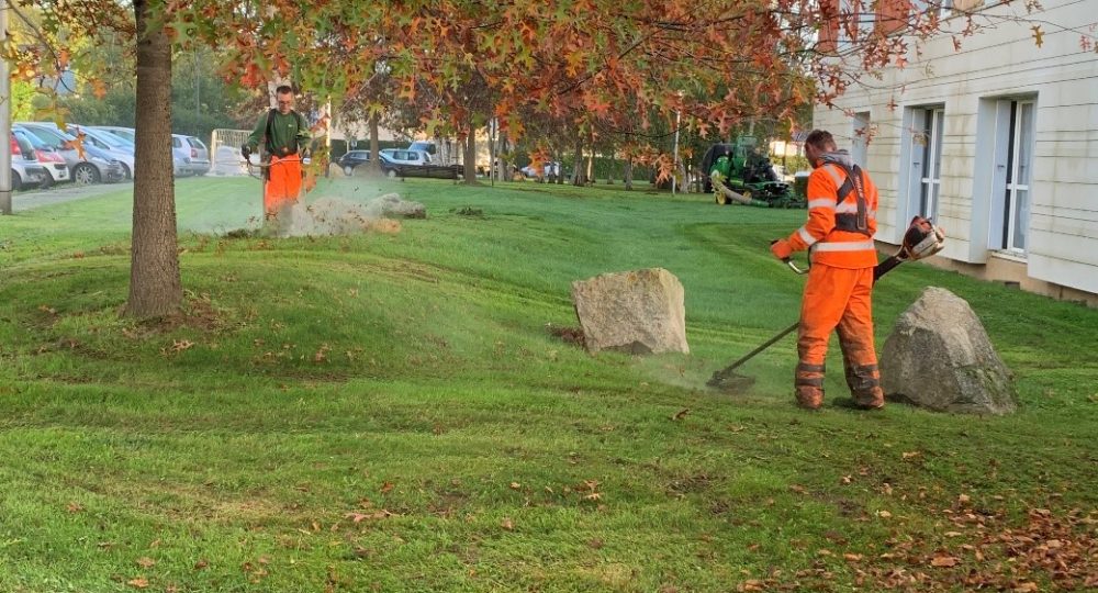 Entretien jardin espaces verts