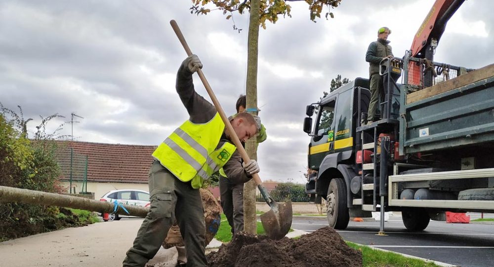 Collaborateur Exavert plantation