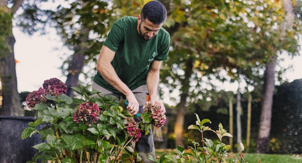 Entretien des espaces verts